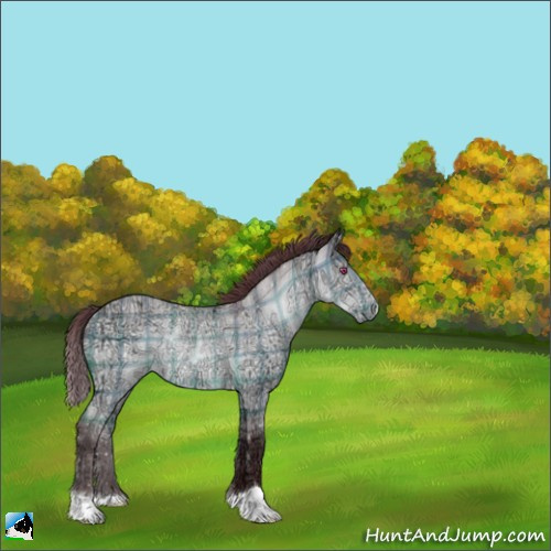 Horse Color:Plaid  Chocolate Brown Chinchilla Ice Roan Dun Rabicano 