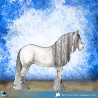 Horse Color:Brown Roan Onyx Snowcap 