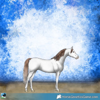 Horse Color:Blue Onyx Pearl Sabino Near Fewspot Rabicano 