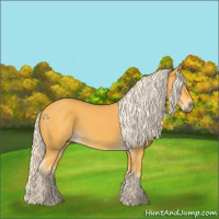 Horse Color:Palomino 