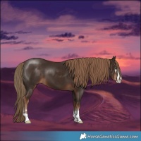 Horse Color:Liver Chestnut