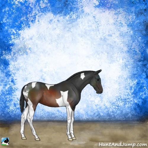 Horse Color:Brown Tobiano 