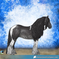 Horse Color:Platinum Buckskin Tobiano Rabicano