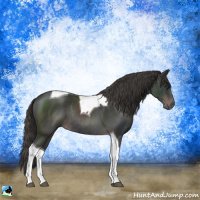 Horse Color:Platinum Liver Chestnut Tobiano Rabicano