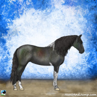 Horse Color:Platinum Liver Chestnut Tobiano Rabicano
