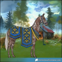 Horse Color:Black Appaloosa  and Silver Black 