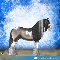 Horse Color:Blue Onyx Splash Tobiano 