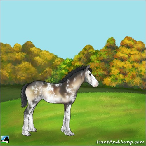 Horse Color:Brown Onyx Sabino 