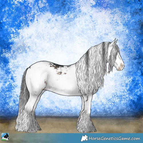 Horse Color:Blue Onyx Sabino