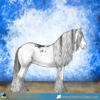Horse Color:Blue Onyx Sabino 
