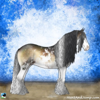 Horse Color:Brown Onyx Sabino Splash 