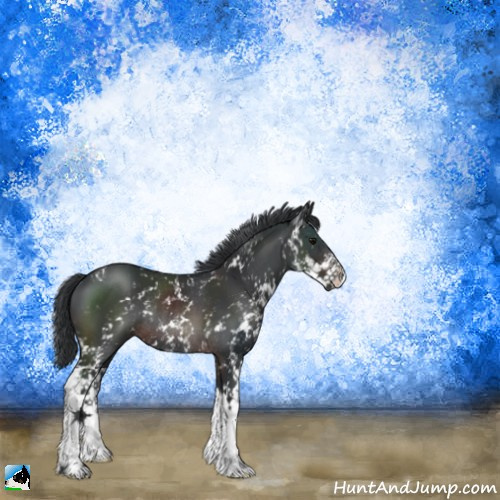 Horse Color:Brown Mushroom Sabino Rabicano 