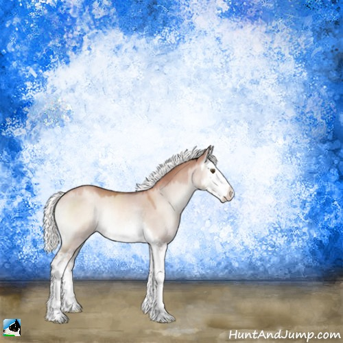 Horse Color:Gold Champagne Onyx Mushroom Sabino Splash Rabicano 