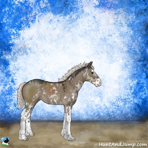 Horse Color:Liver Red Dun Mushroom Sabino Splash 