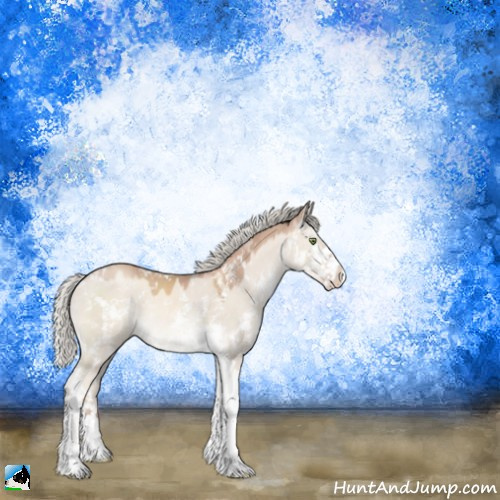 Horse Color:Gold Champagne Dun Mushroom Sabino Rabicano 