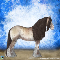Horse Color:Classic Champagne Onyx Mushroom Sabino Rabicano 