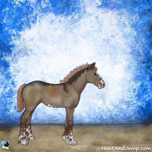 Horse Color:Liver Red Dun Sabino 