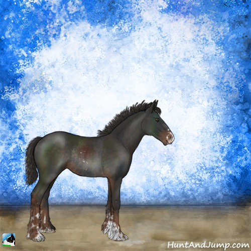 Horse Color:Liver Chestnut Sabino Rabicano 