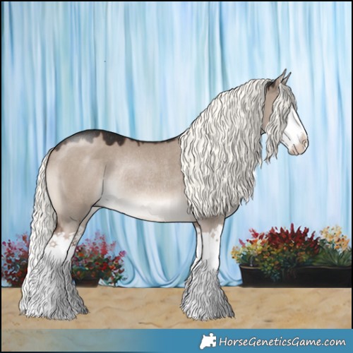 Horse Color:Liver Red Dun Mushroom Splash Rabicano 