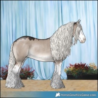 Horse Color:Liver Red Dun Mushroom Splash Rabicano 