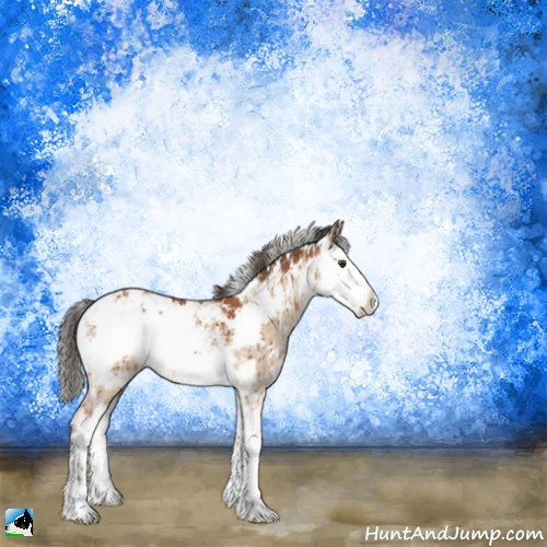 Horse Color:Brown Dun Mushroom Sabino Brindle 