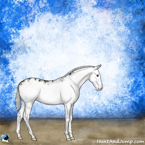 Horse Color:Liver Red Dun Onyx Mushroom Sabino Splash Rabicano 