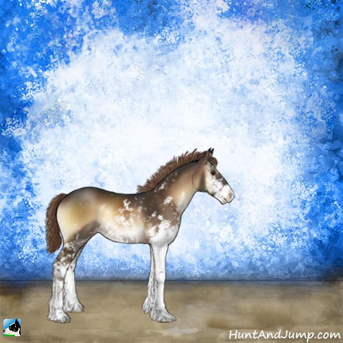 Horse Color:Liver Red Onyx Sabino Rabicano 