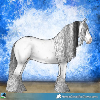 Horse Color:Brown Mushroom Sabino 