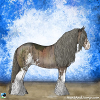 Horse Color:Liver Red Dun Mushroom Sabino Brindle 