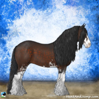 Horse Color:Brown Sabino 