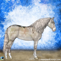 Horse Color:Liver Red Dun Ice Mushroom Sabino 