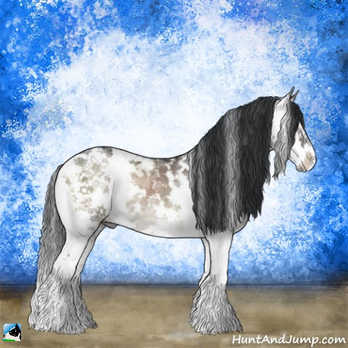Horse Color:Grullo Ice Onyx Mushroom Sabino Rabicano 
