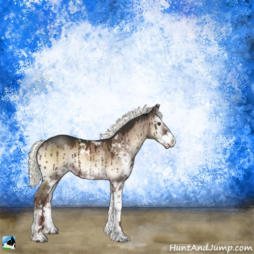 Horse Color:Liver Red Dun Onyx Mushroom Sabino Brindle 