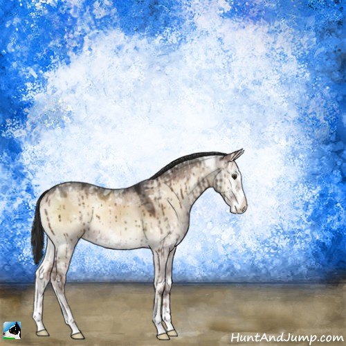 Horse Color:Liver Red Dun Ice Onyx Sabino Brindle 