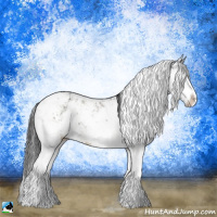 Horse Color:Brown Dun Sabino Rabicano Brindle