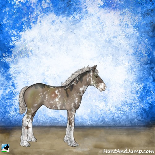 Horse Color:Liver Red Dun Mushroom Sabino Rabicano 