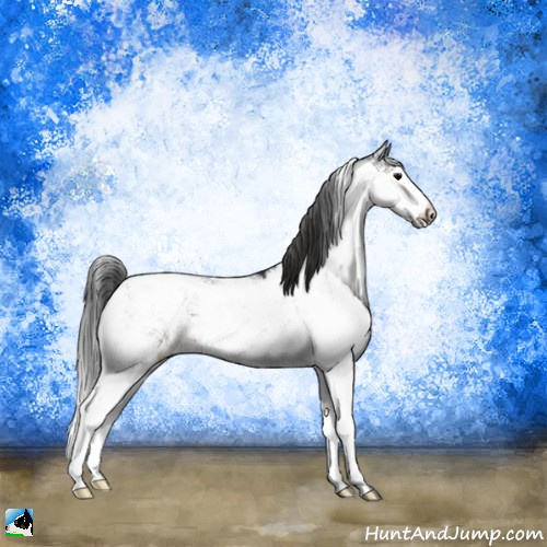 Horse Color:Brown Sabino Appaloosa 