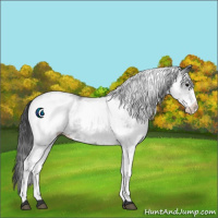 Horse Color:White Spotted Black 