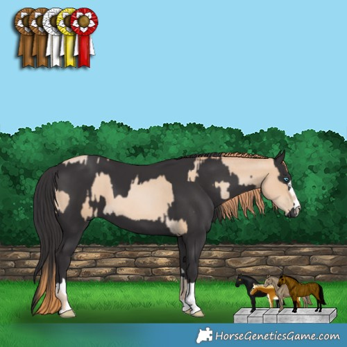 Horse Color:Smoky Black Pearl  and Smoky Black 