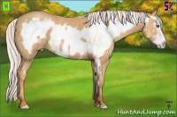 Horse Color:White Spotted Silver Amber Champagne Frame
