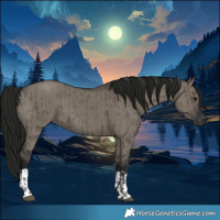Horse Color:Gray Grullo  and Gray Grullo 