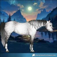 Horse Color:Gray Grullo  and Gray Grullo 