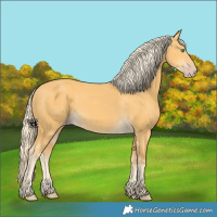 Horse Color:Gold Cream Champagne 