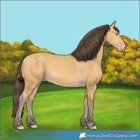 Horse Color:Amber Cream Champagne 