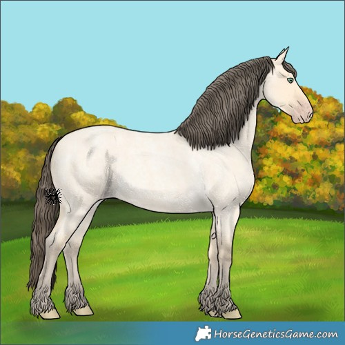 Horse Color:Amber Cream Champagne Roan Dun 
