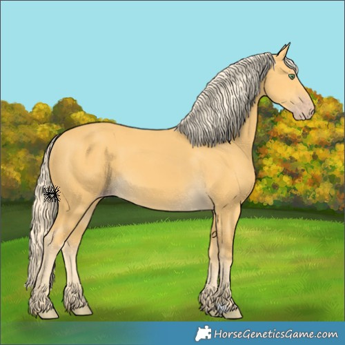 Horse Color:Gold Cream Champagne 
