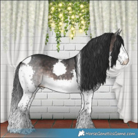 Horse Color:Platinum Brown Splash Tobiano Rabicano 