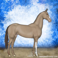 Horse Color:Classic Champagne 