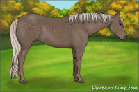 Horse Color:Silver Black 