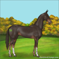 Horse Color:Liver Chestnut  and Liver Chestnut 
